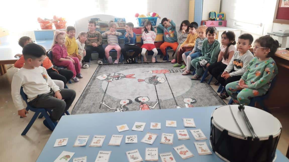 Uygulama anasını öğrencileri ingilizce dersinde  Fazile öğretmenle hayvanları kartlarla ve şarkılarla öğrenmeye başladı. 